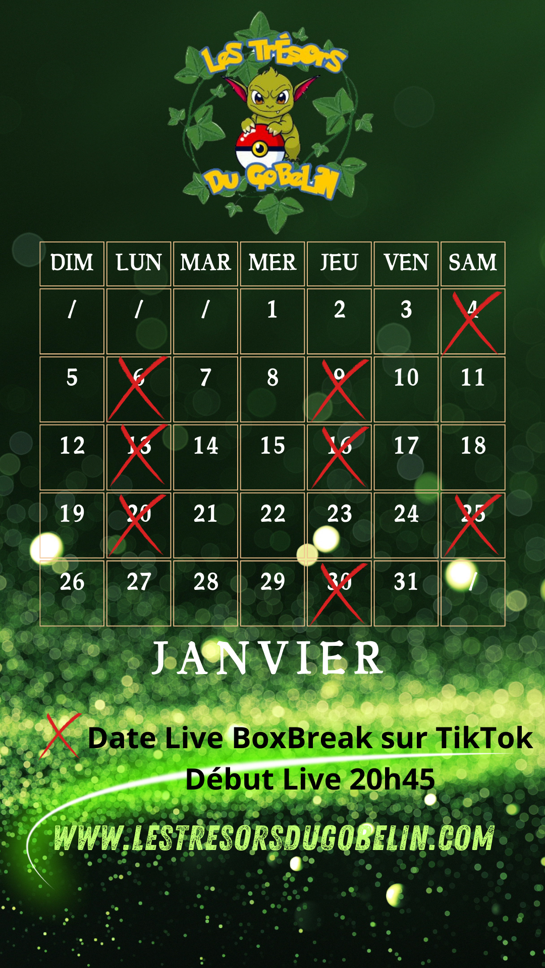 Planning BoxBreak Janvier 2025 sur TikTok