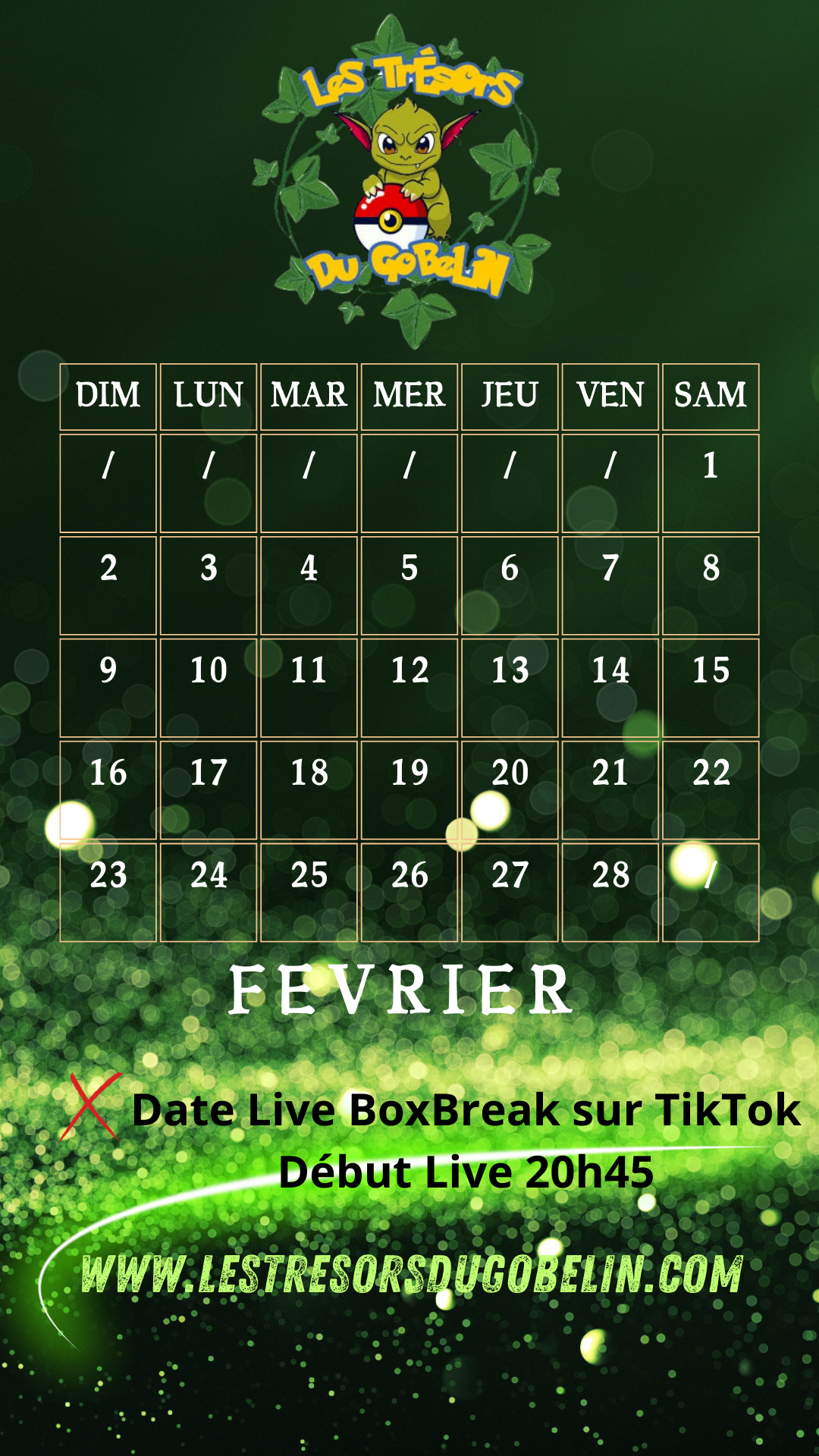 Planning BoxBreak Février 2025 sur TikTok