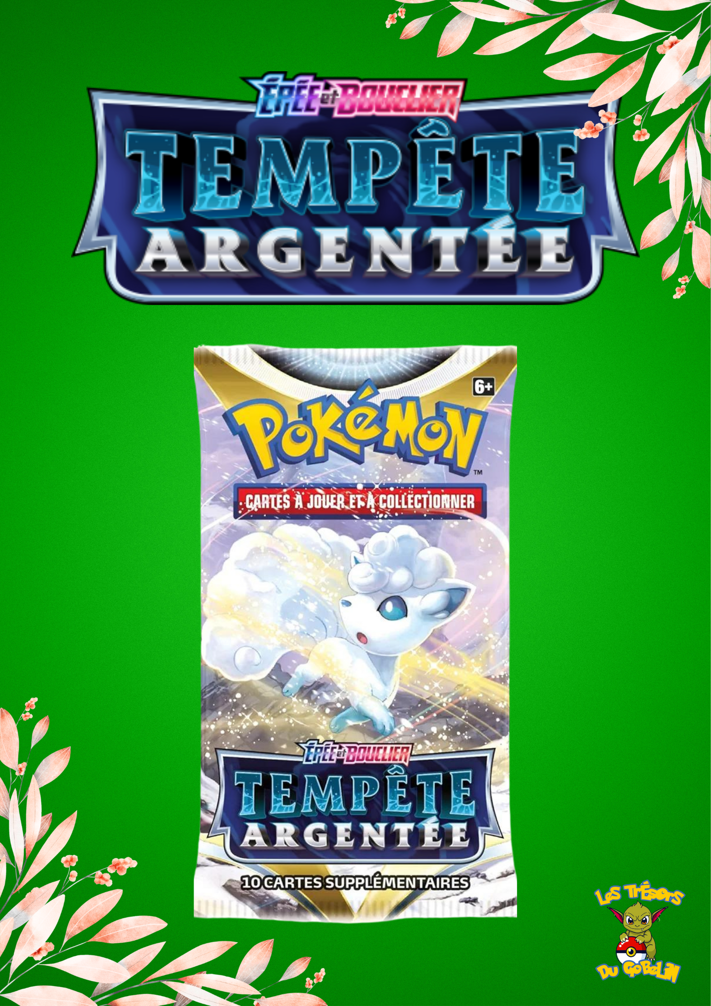 🇫🇷 Booster Tempête Argentée EB12 🇫🇷