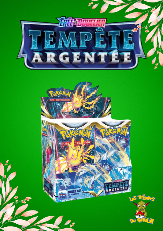 🇫🇷 Display Tempête Argentée EB12 🇫🇷